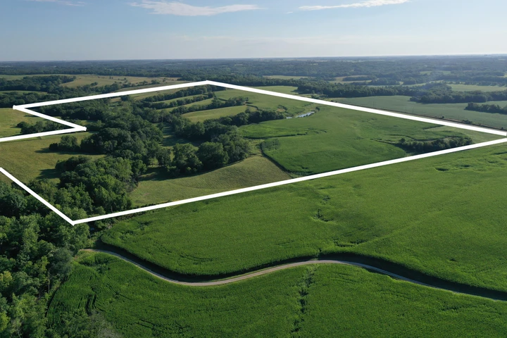 Nearby Listing Image