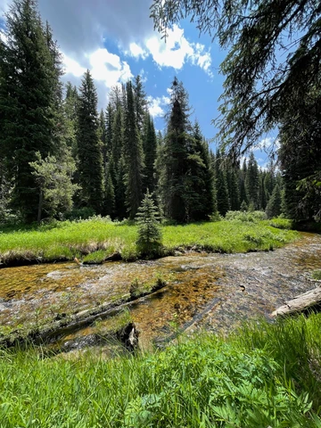 Nearby Listing Image