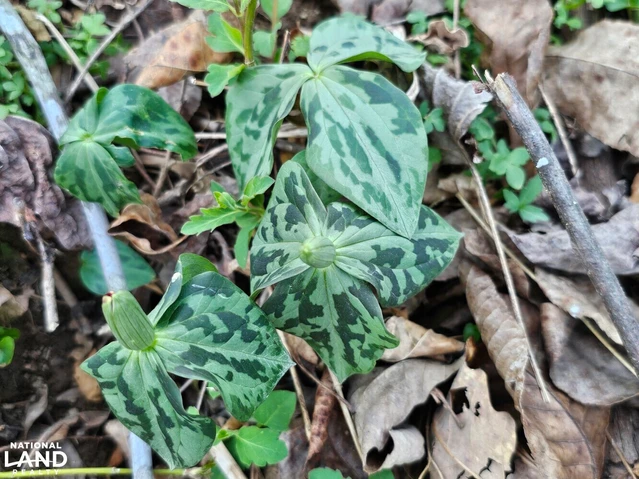 Nearby Listing Image