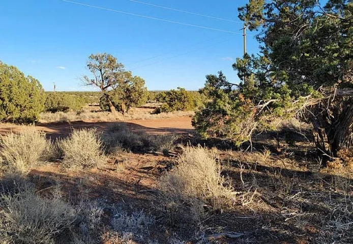 Nearby Listing Image