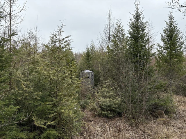 Nearby Listing Image