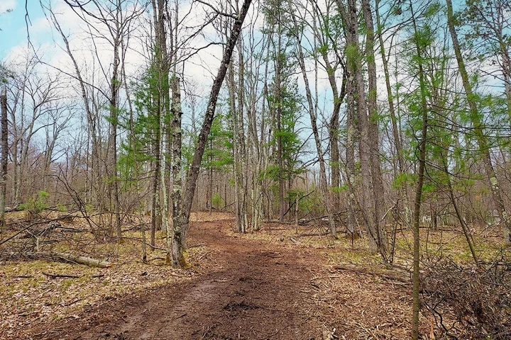 Nearby Listing Image