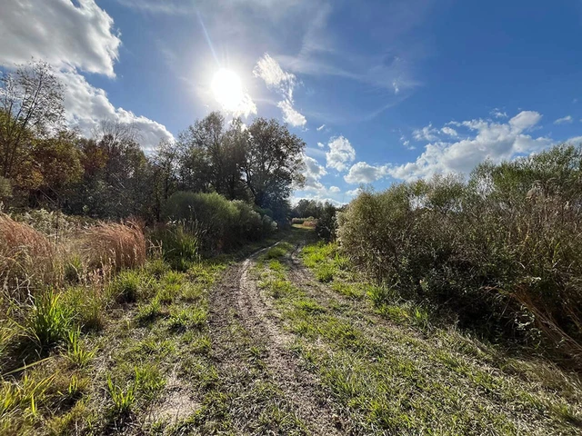 Nearby Listing Image