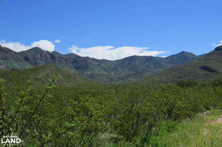 Nearby Listing Image