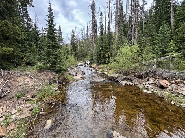 Nearby Listing Image