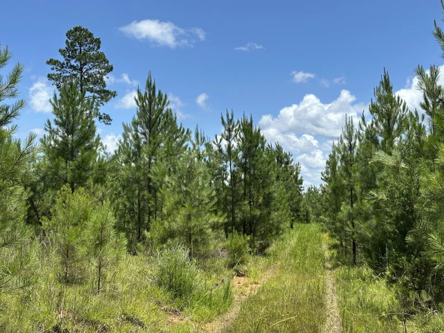 Nearby Listing Image