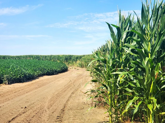 Nearby Listing Image