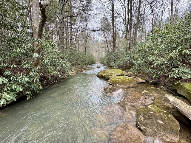 Nearby Listing Image