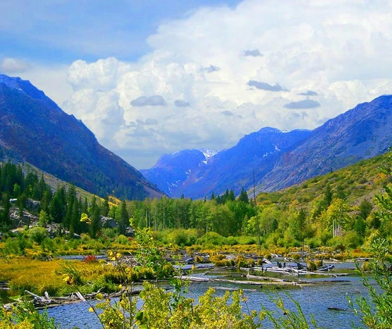 Nearby Listing Image