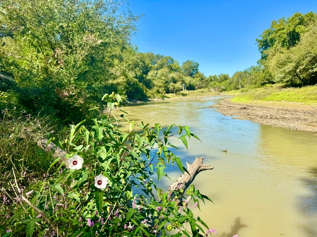 Nearby Listing Image