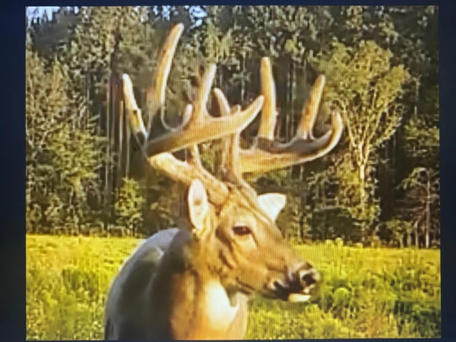 Nearby Listing Image