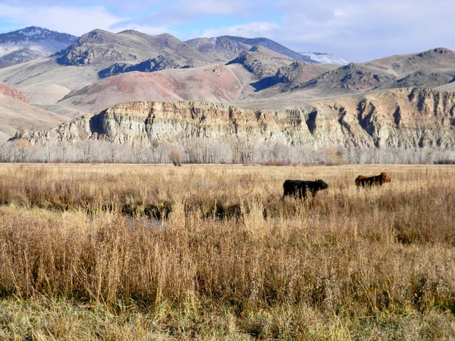 Nearby Listing Image