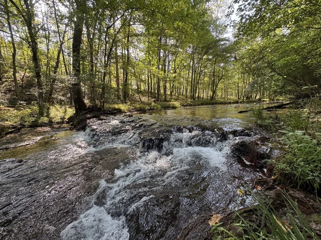 Nearby Listing Image