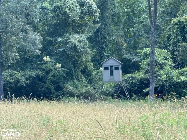 Nearby Listing Image