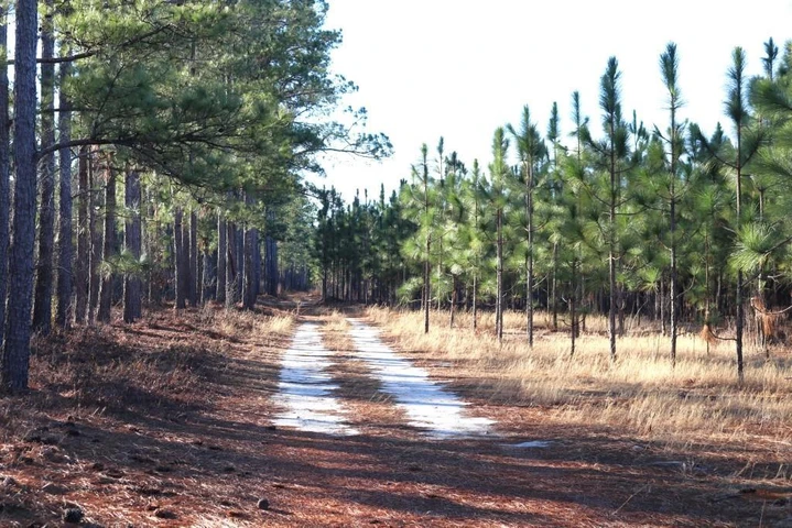 Nearby Listing Image