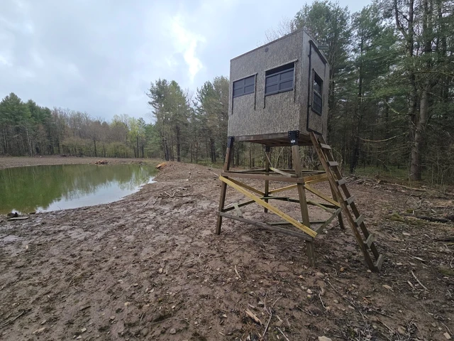 Nearby Listing Image