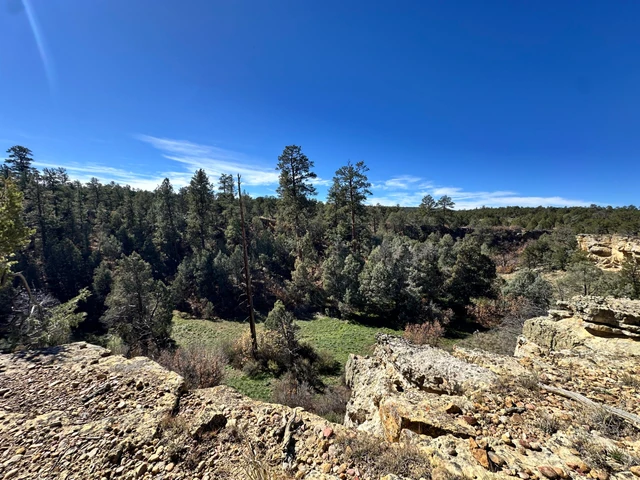Nearby Listing Image