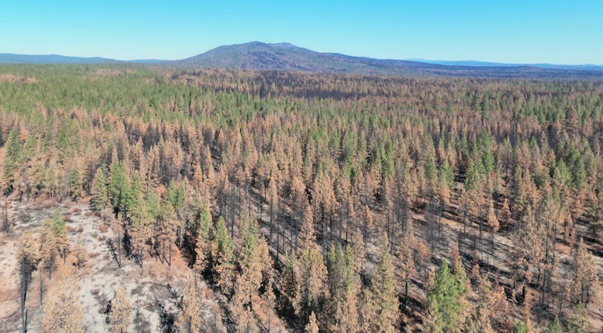 Nearby Listing Image