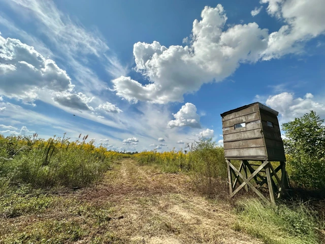 Nearby Listing Image