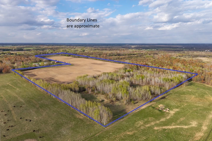 Nearby Listing Image