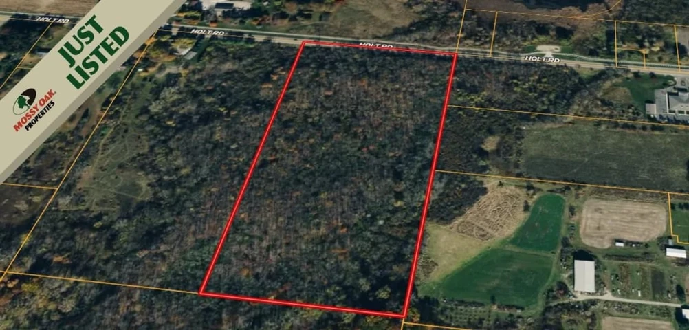 Nearby Listing Image