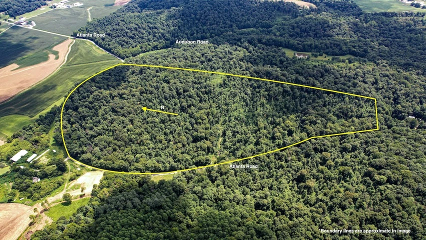 Nearby Listing Image