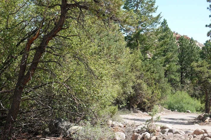 Nearby Listing Image