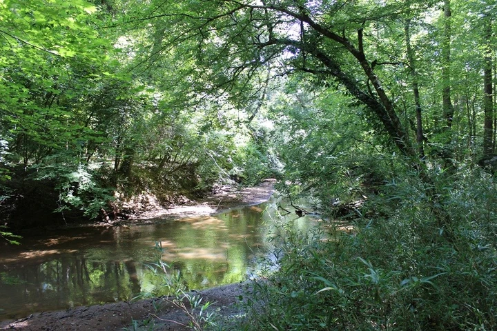 Nearby Listing Image
