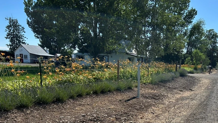 Nearby Listing Image