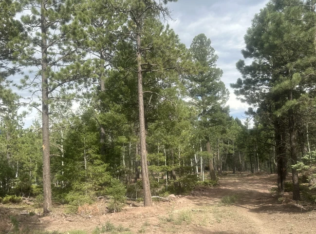 Nearby Listing Image