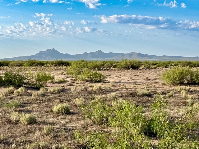 Nearby Listing Image