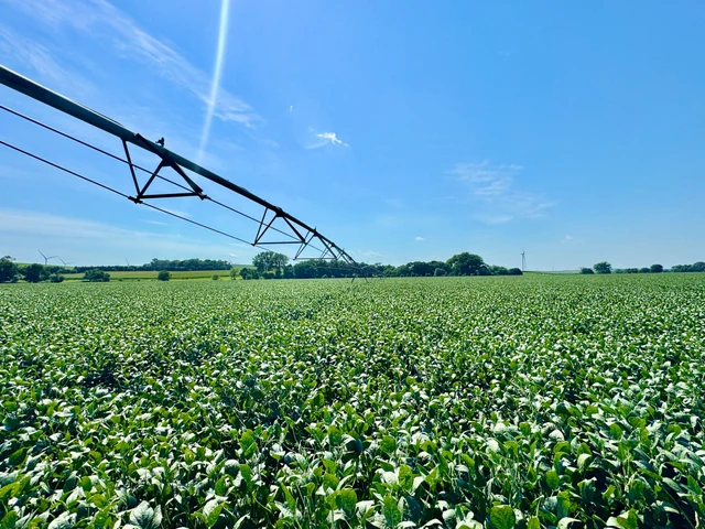 Nearby Listing Image