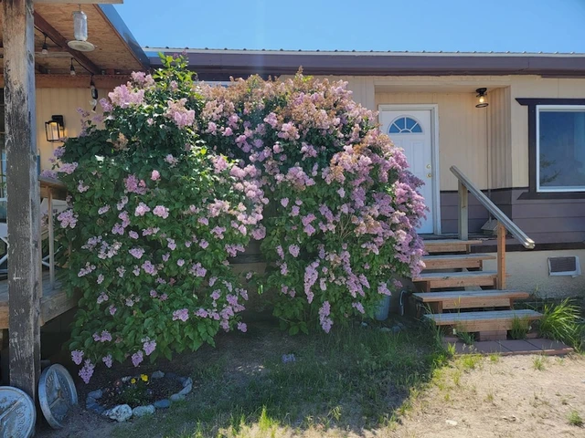 Nearby Listing Image