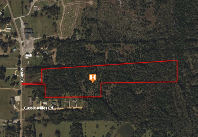 Main Listing Image
