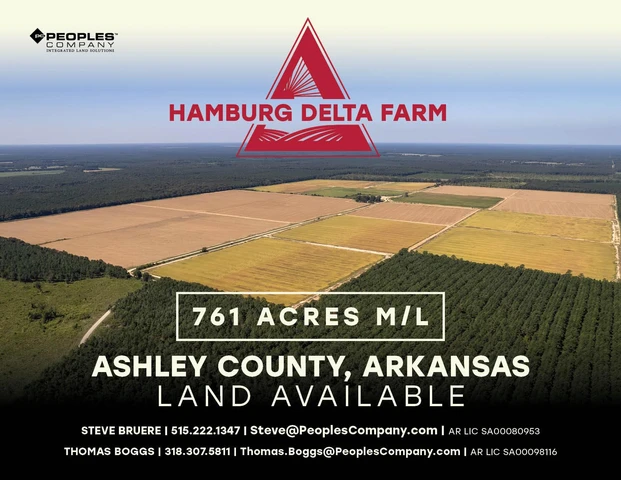 Main Listing Image