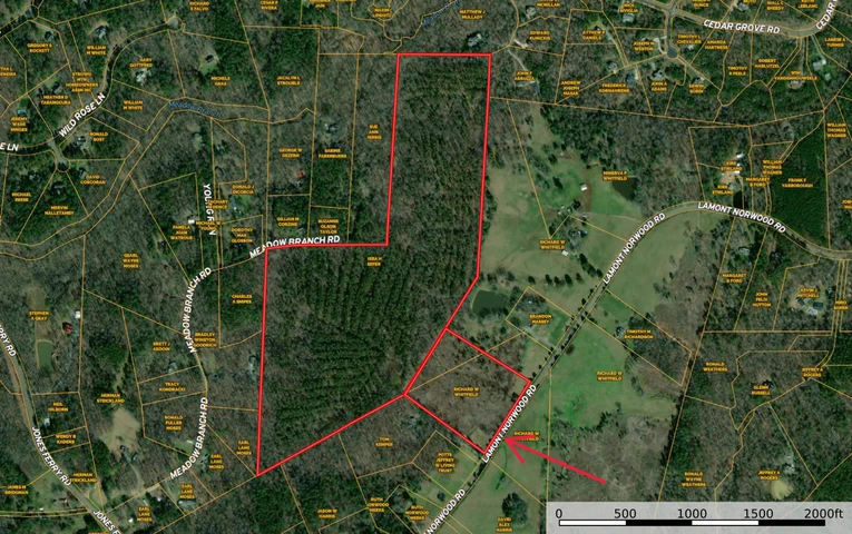 Main Listing Image