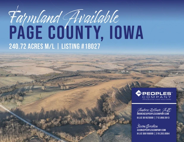 Main Listing Image