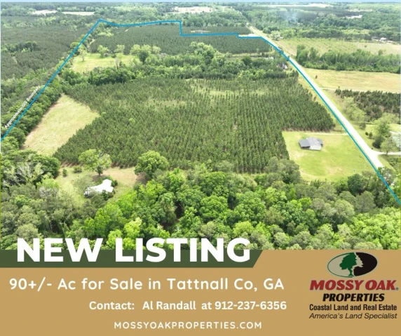 Main Listing Image