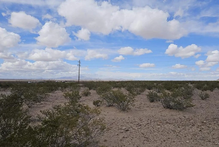 Main Listing Image