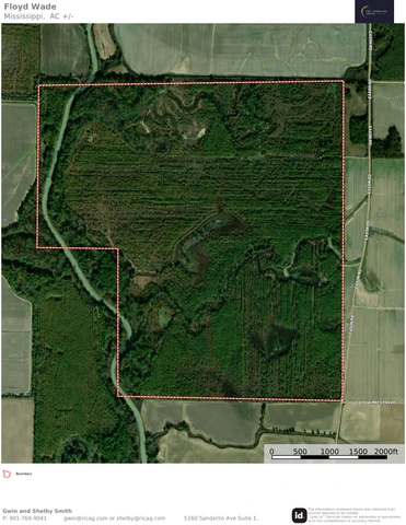 Main Listing Image