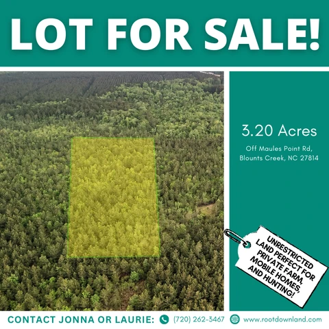 Main Listing Image