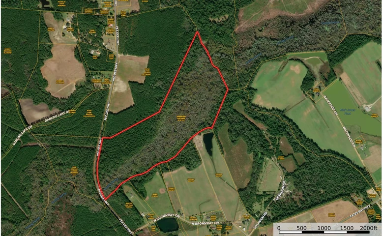 Main Listing Image
