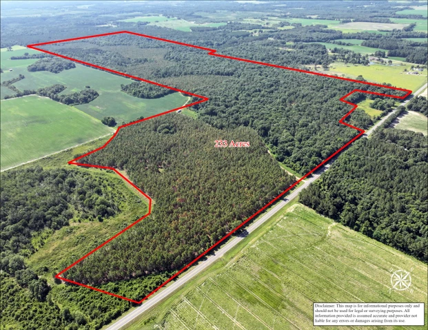 Main Listing Image