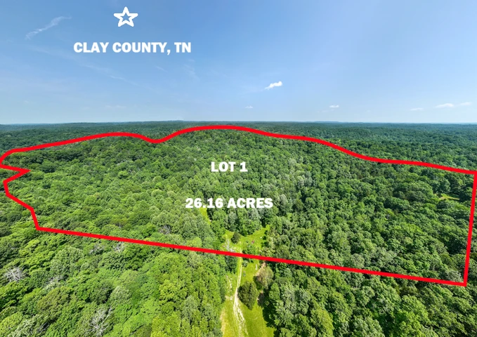 Main Listing Image