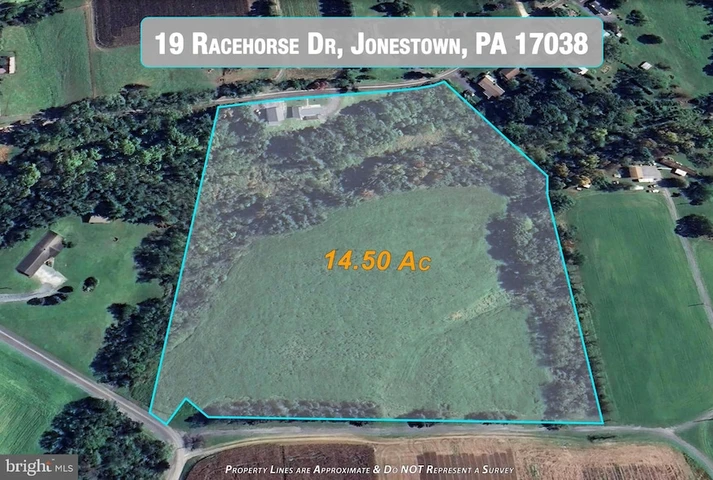 Main Listing Image