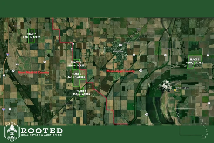 Main Listing Image