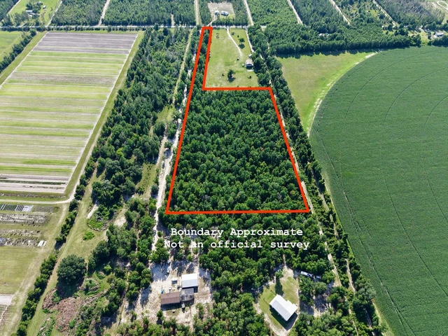 Main Listing Image