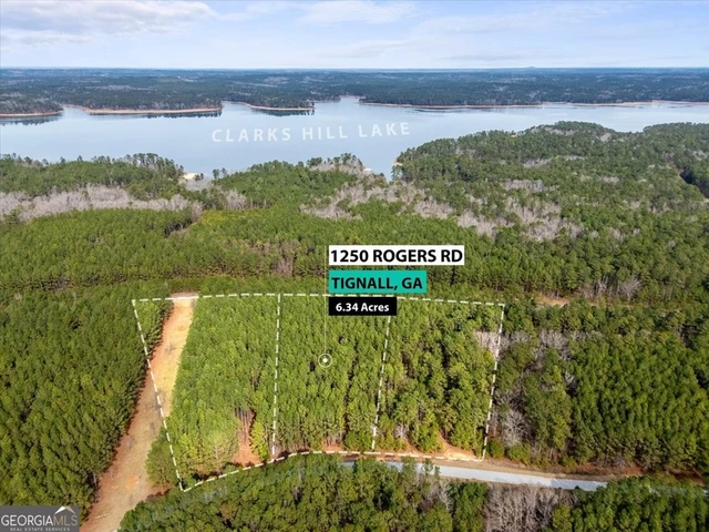 Main Listing Image