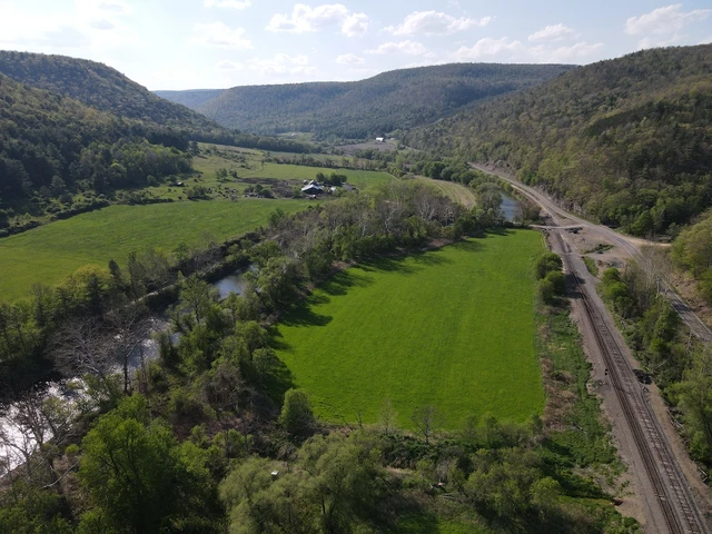 Main Listing Image