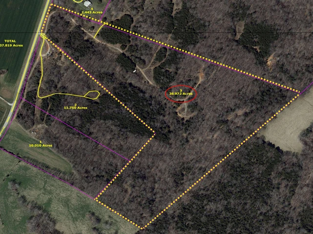 Main Listing Image